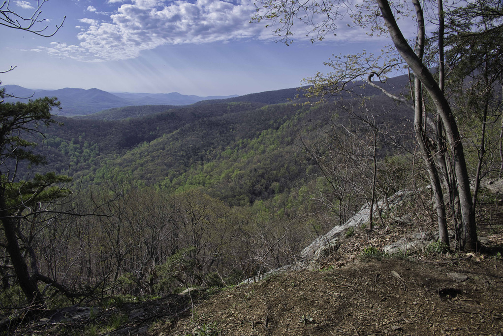 Dobie Mountain & Jack Albright Loop The Hoppy Hikers