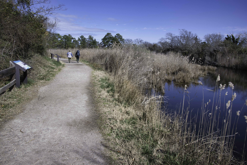 Grandview Nature Preserve The Hoppy Hikers