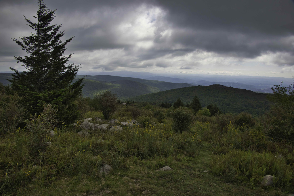 AT, Wilburn Ridge & Crest Loop The Hoppy Hikers