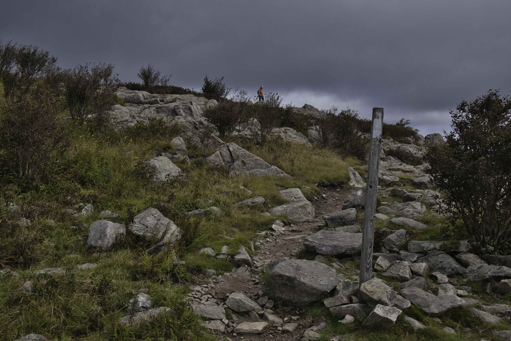 AT, Wilburn Ridge & Crest Loop The Hoppy Hikers