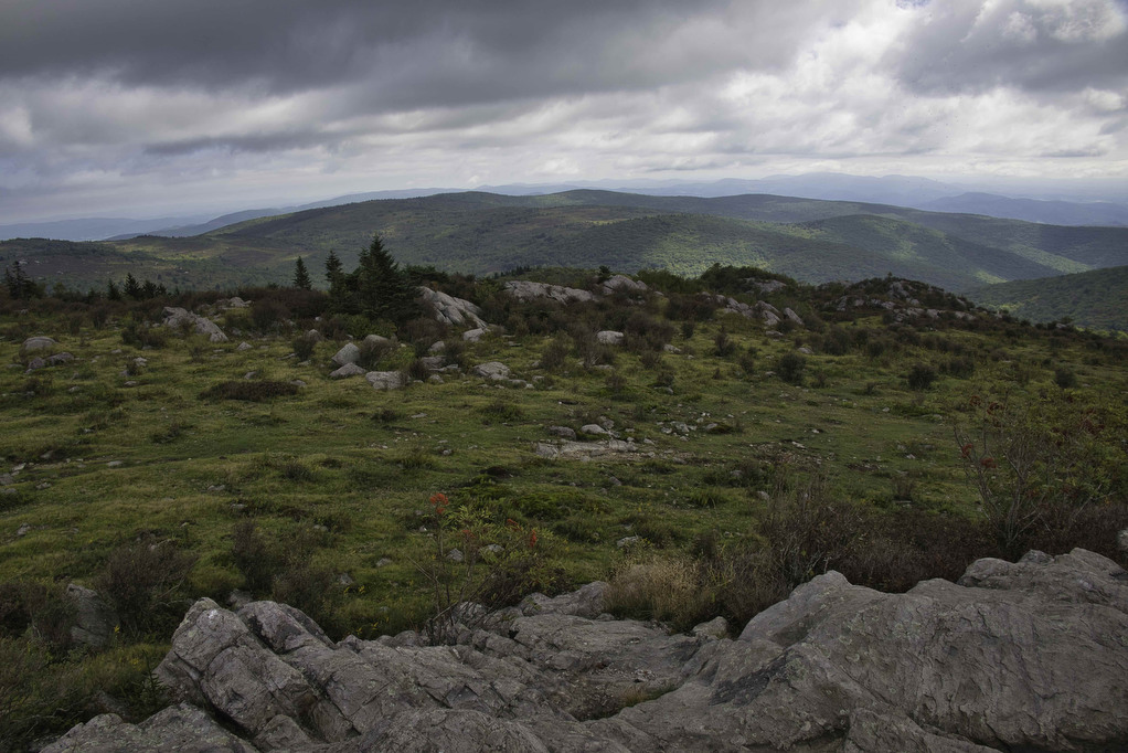 AT, Wilburn Ridge & Crest Loop The Hoppy Hikers