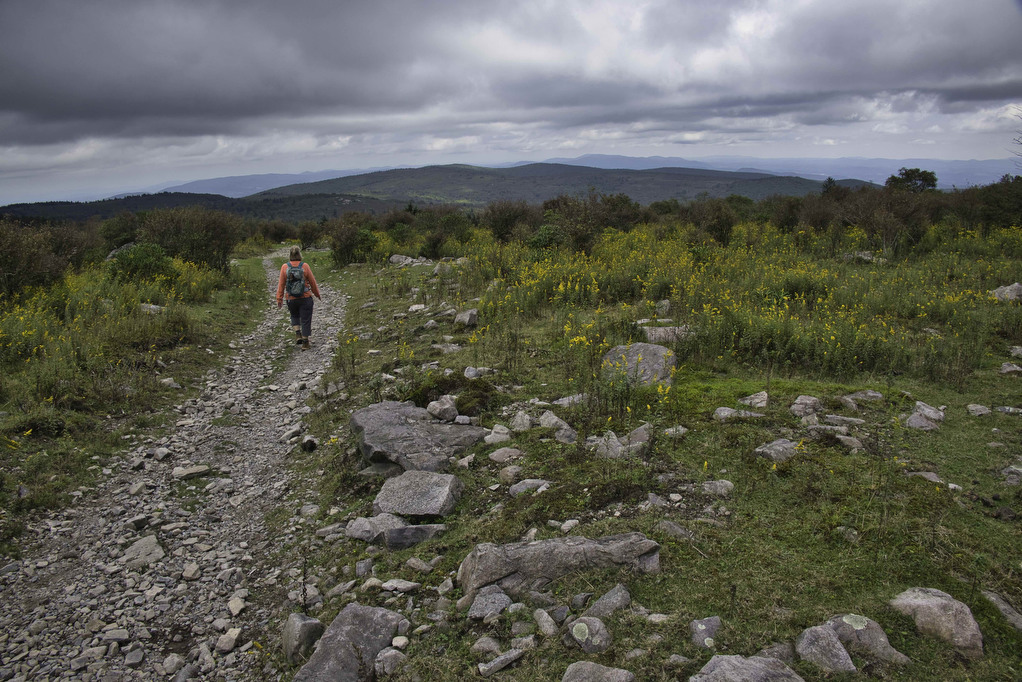 AT, Wilburn Ridge & Crest Loop The Hoppy Hikers