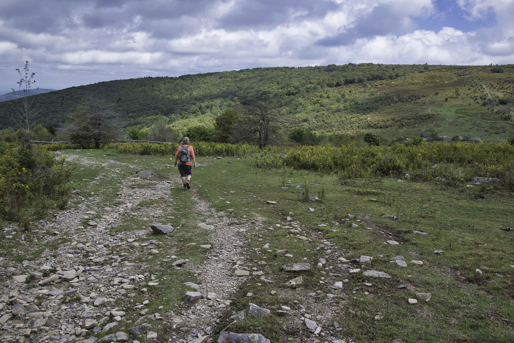 AT, Wilburn Ridge & Crest Loop The Hoppy Hikers