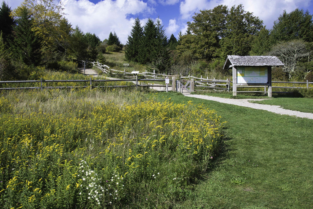 AT, Wilburn Ridge & Crest Loop The Hoppy Hikers
