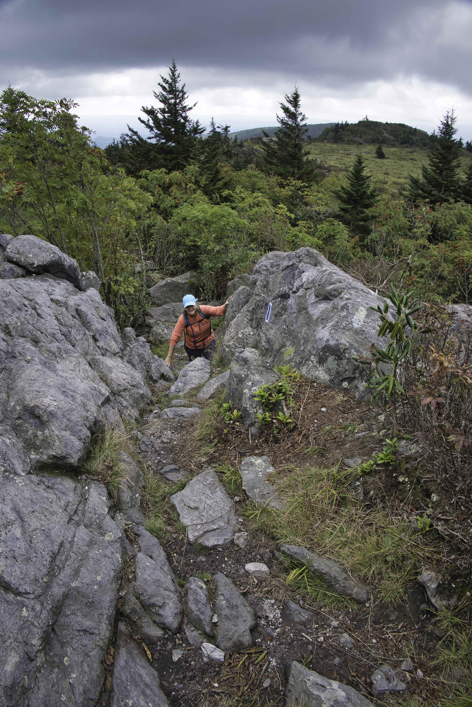 AT, Wilburn Ridge & Crest Loop The Hoppy Hikers