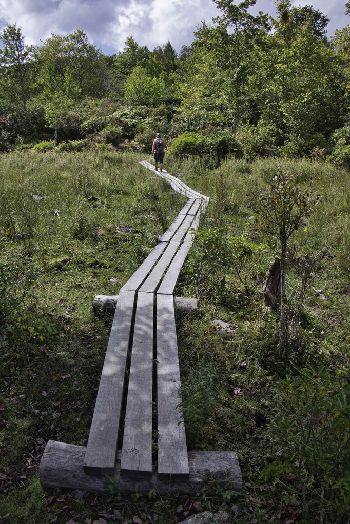 AT, Wilburn Ridge & Crest Loop The Hoppy Hikers