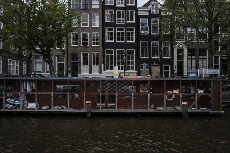 Stray cats find refuge on 'The Catboat' in Amsterdam [photos] The