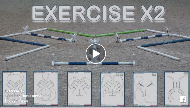 Doing This One Exercise Will Improve Any Horse And Rider Team! The