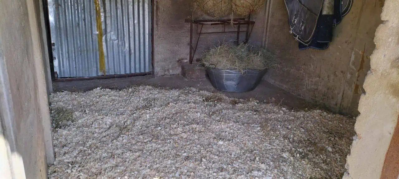 Stall Mucking 101 How to Clean and Maintain Your Horse’s Stall The Horse and Stable
