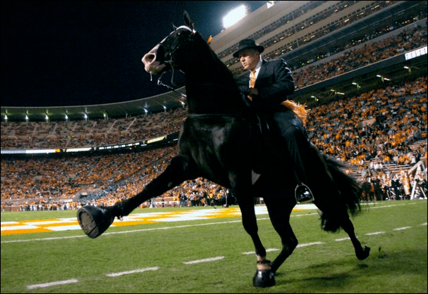Horse Soring Images THE HORSE FUND