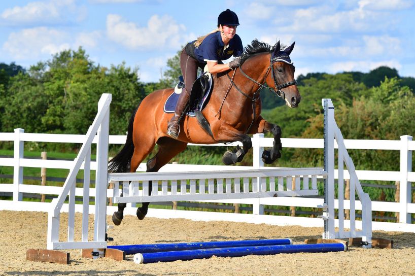 Ingatestone and Blackmore Riding Club The Horse Life