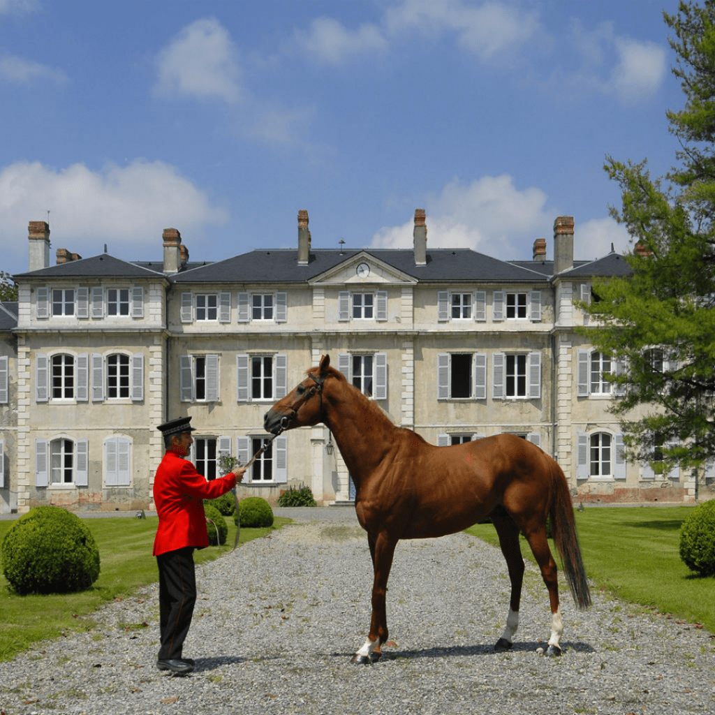 L'histoire des haras nationaux... The Horsemap