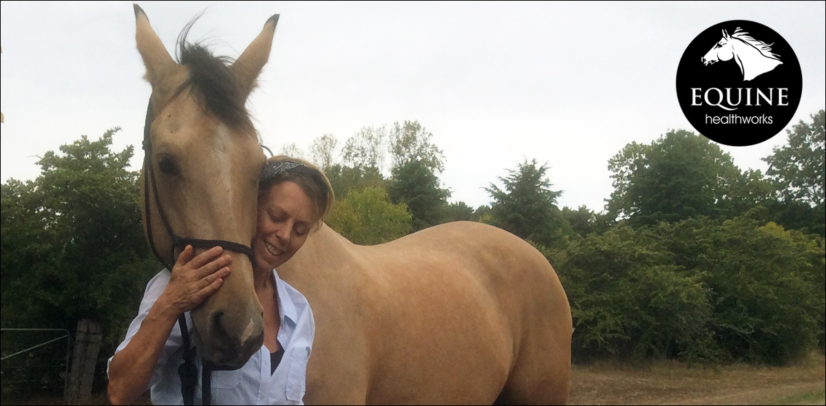 Equine Healthworks Therapeutic Bodywork for your Horse