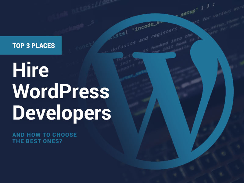 Top 3 Places to Hire WordPress Programmers in 2022 TheHotSkills