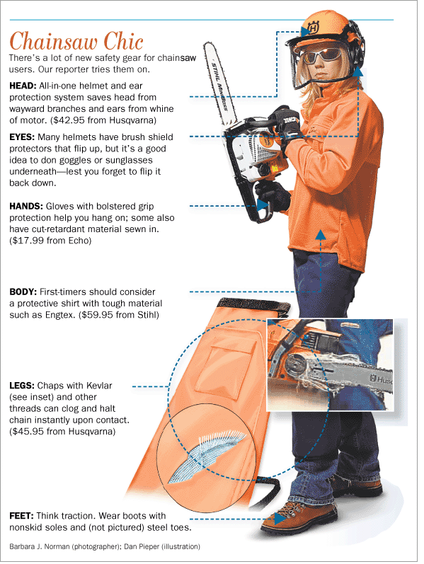 Safety Sunday Top Ten Tips for Using Power Tools to Trim Shrubs & Trees