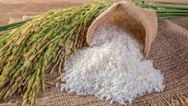 Dapat Zakat, Bolehkan Bayar Zakat Fitrah Menggunakan Beras Zakat? -  TheHumairo.Com