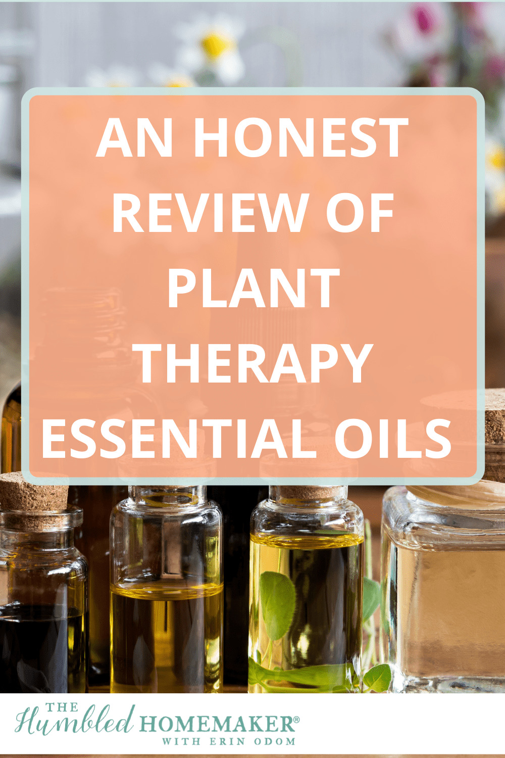 An Honest Review of Plant Therapy