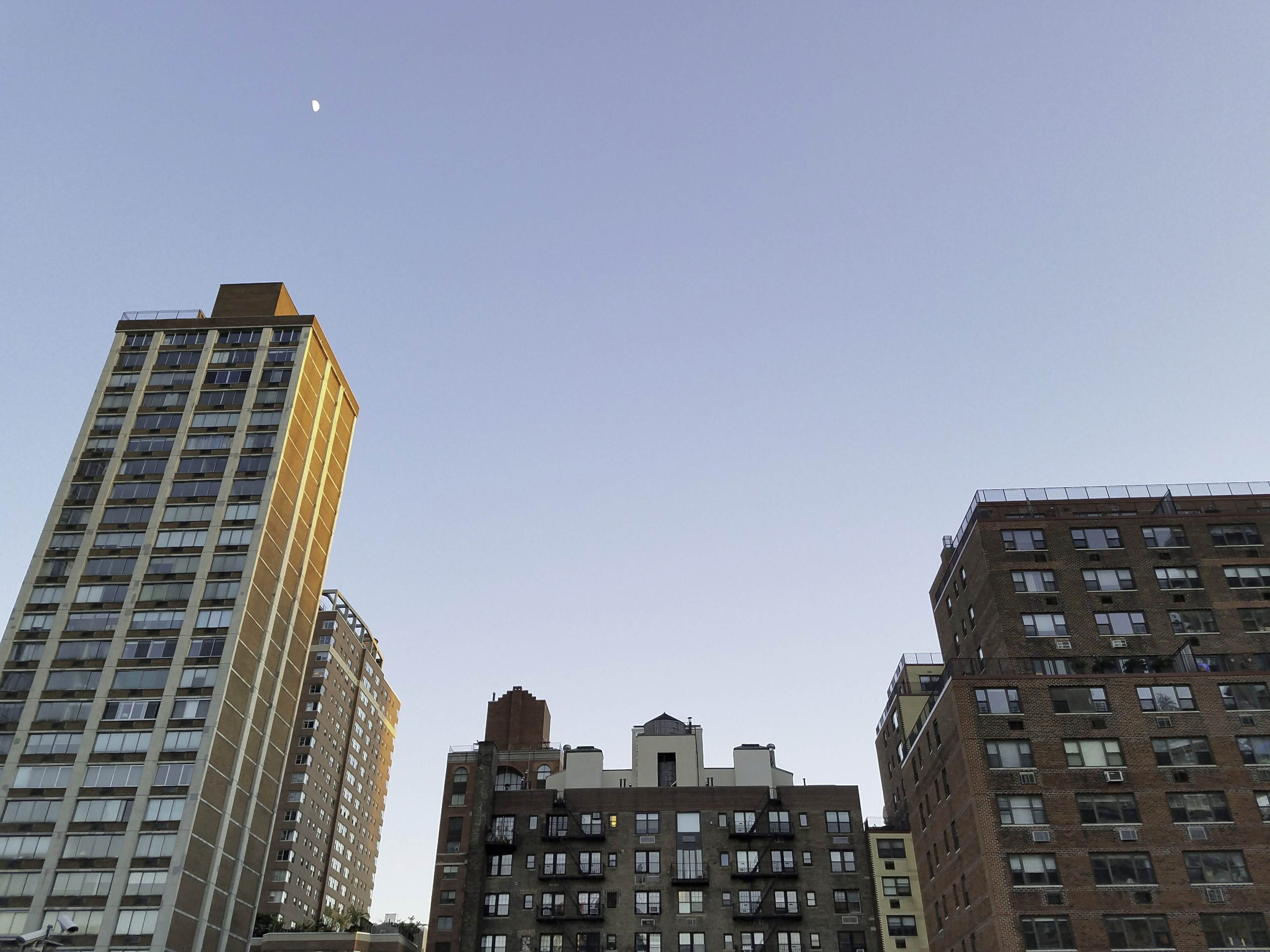 Rooftop bookreading The Humble Fabulist