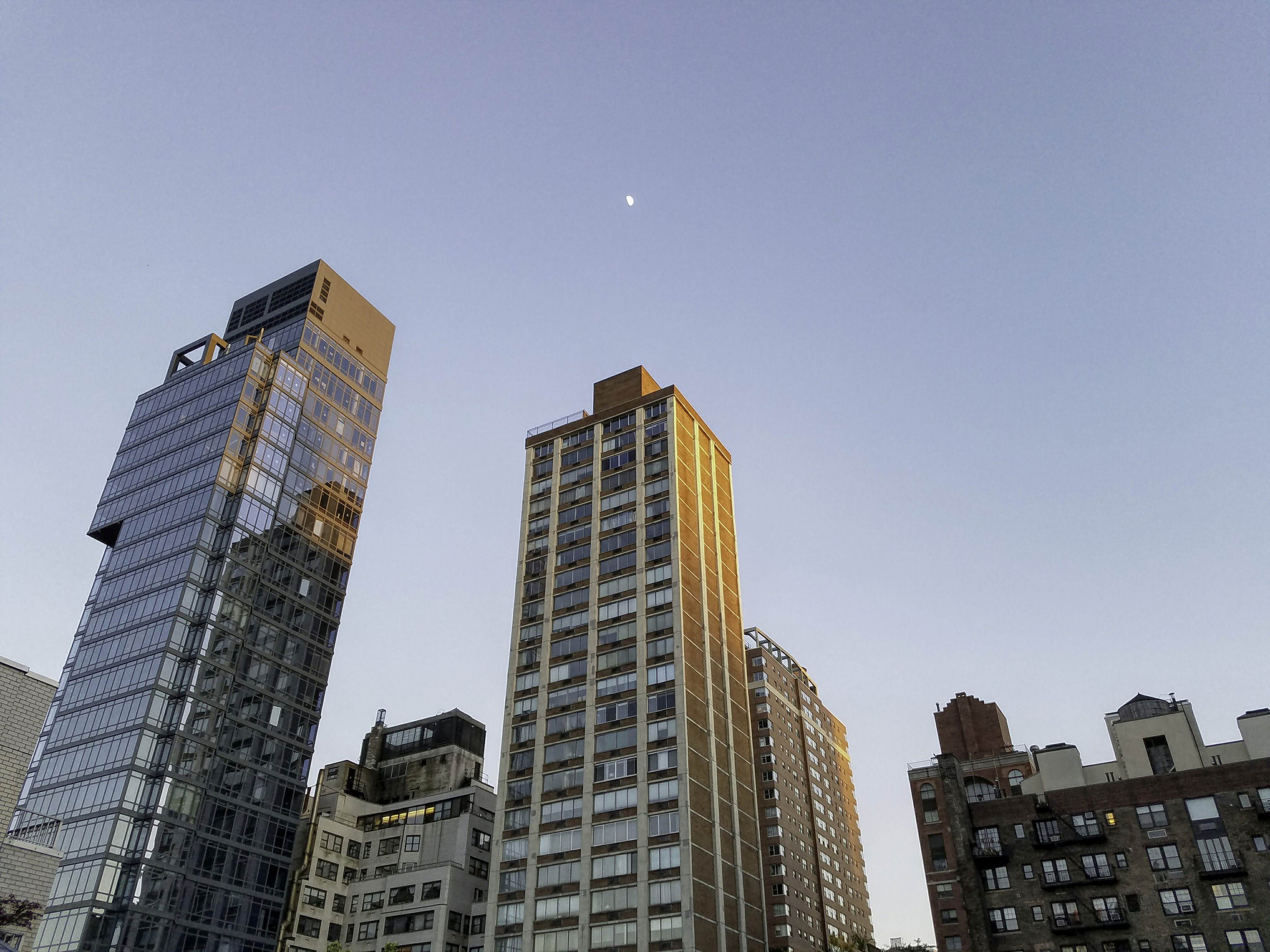 Rooftop bookreading The Humble Fabulist