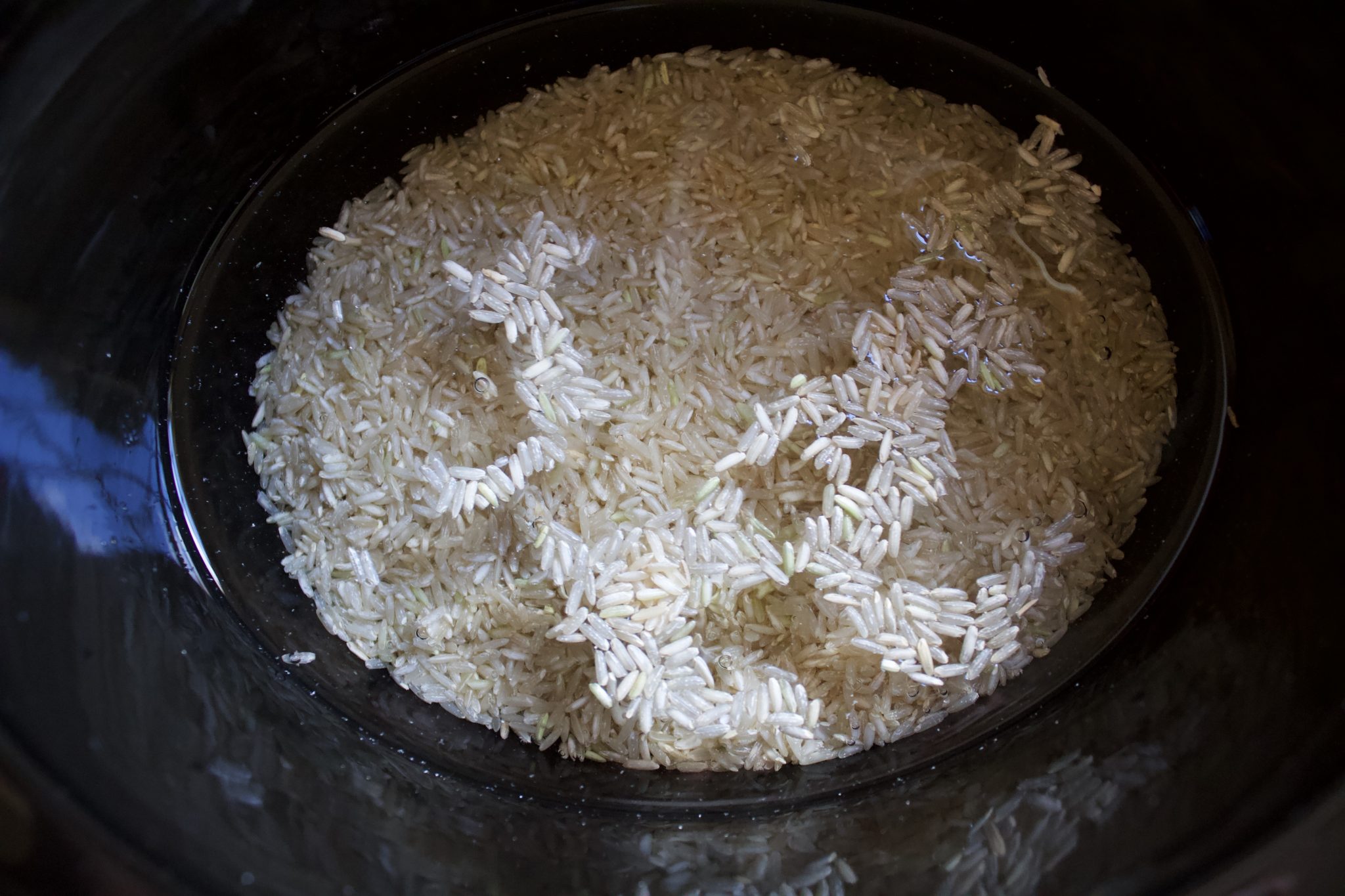 Slow Cooker Homemade Dog Food The Hungry Lyoness