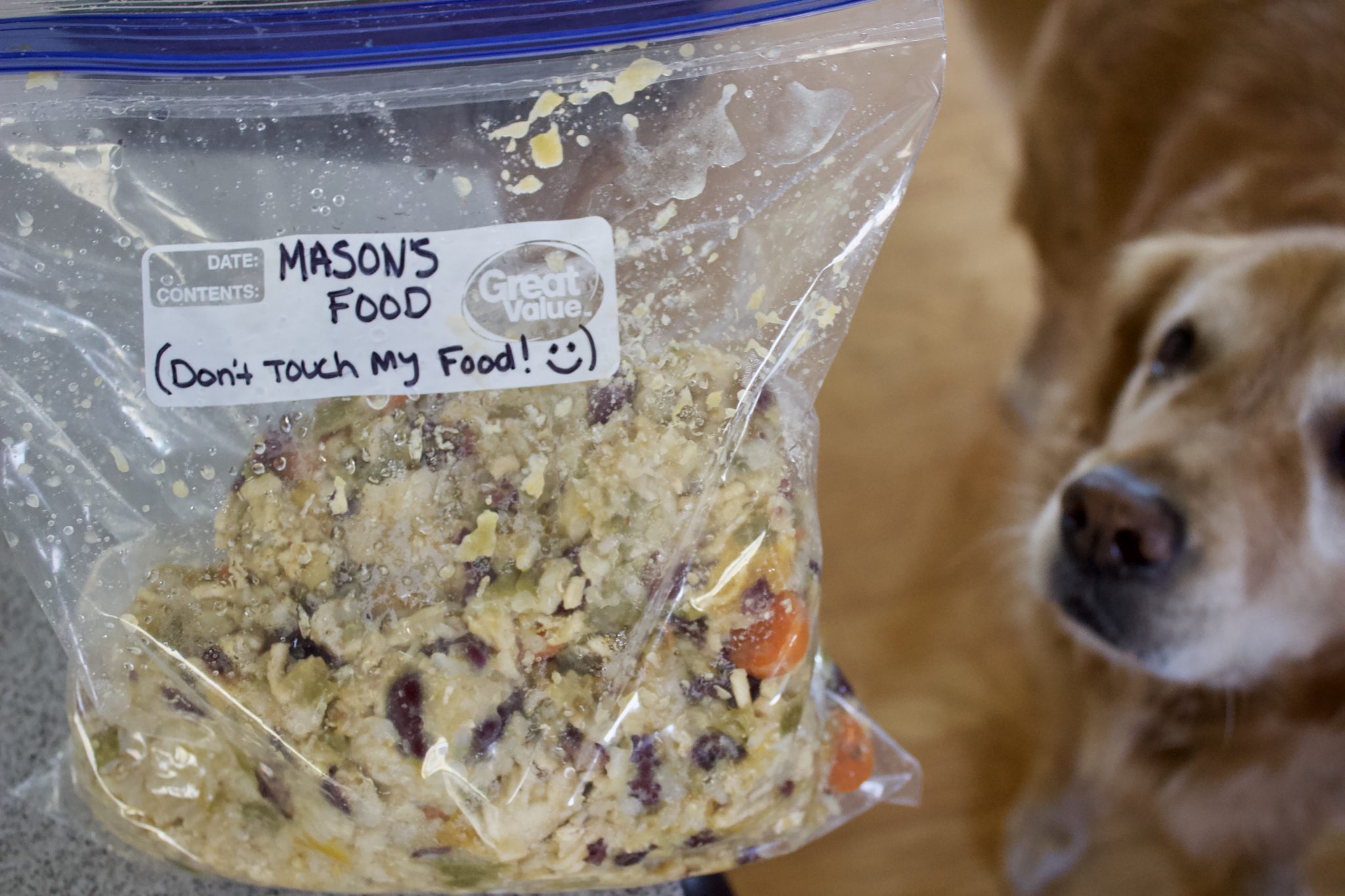 Slow Cooker Homemade Dog Food The Hungry Lyoness