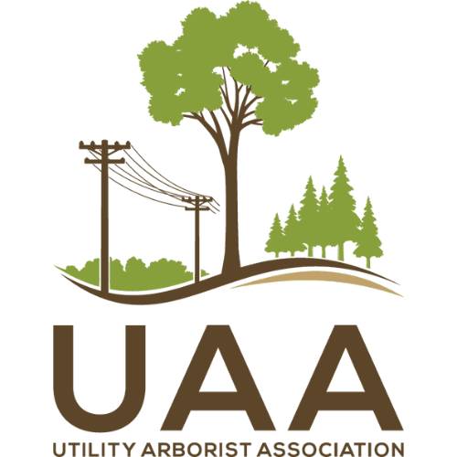 The Hungry Tree LLC Professional Tree Services & Queen Palm Specialists.