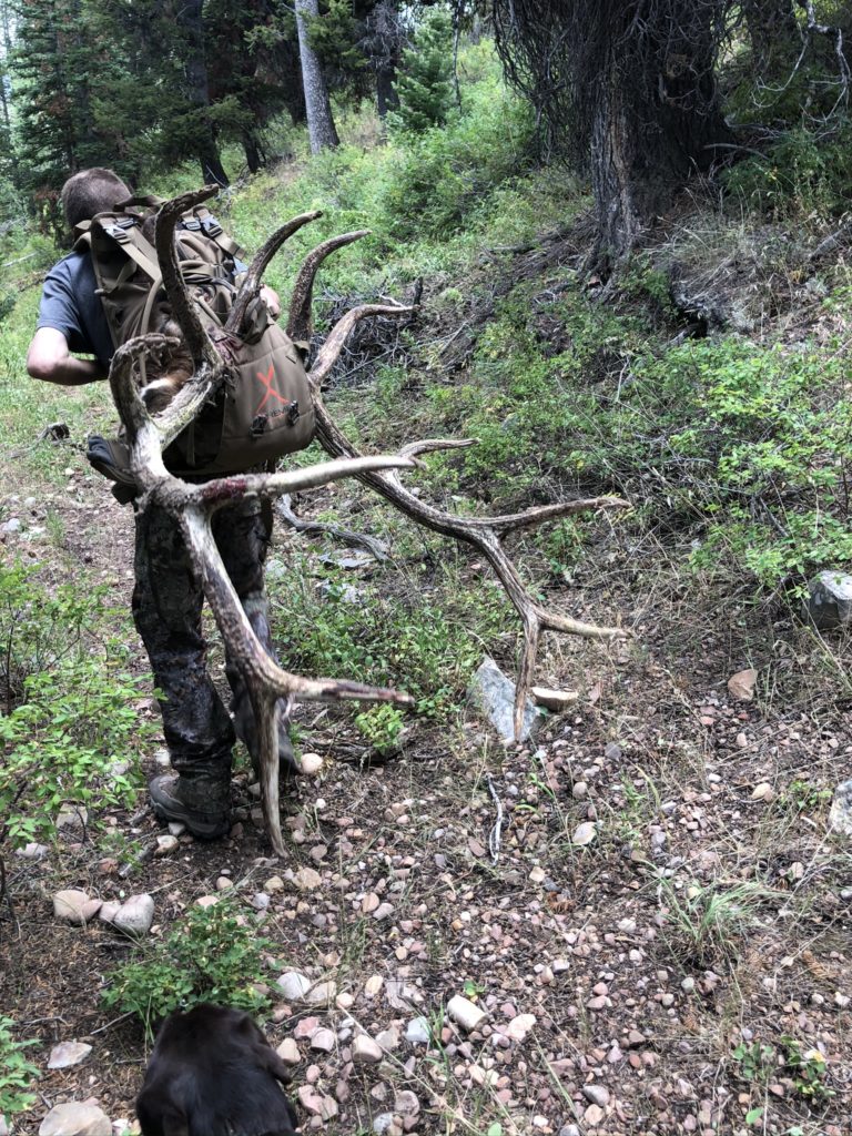 Utah Elk Hunt The Hunt Exchange