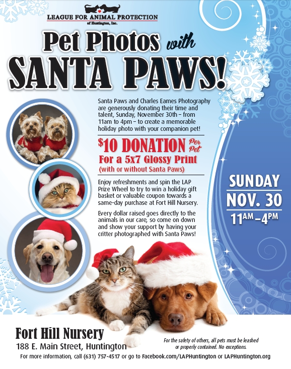 Pet Photos With Santa Paws Fundraiser The Huntingtonian