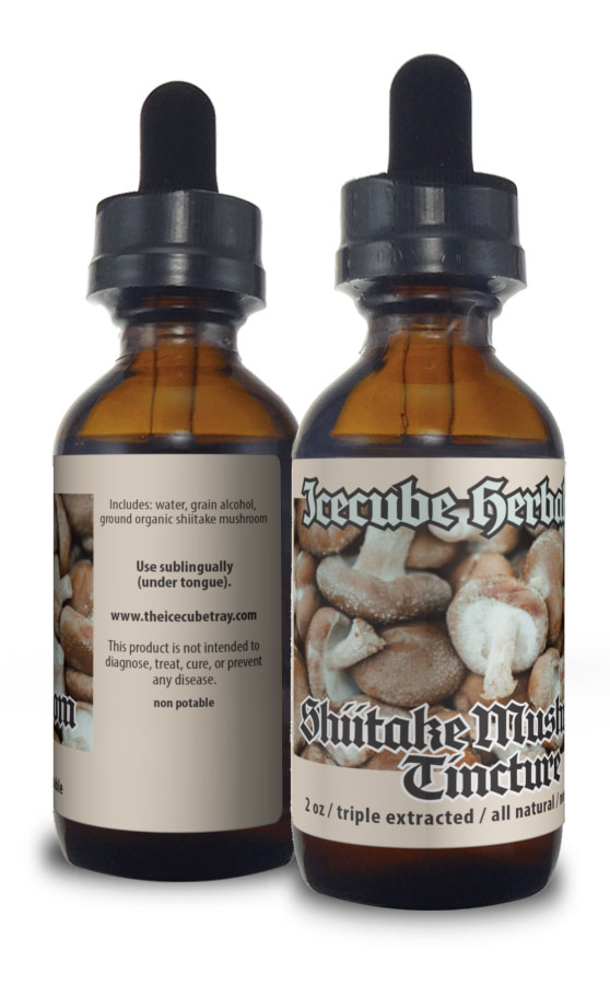 Shiitake Mushroom Tincture The Icecube Tray