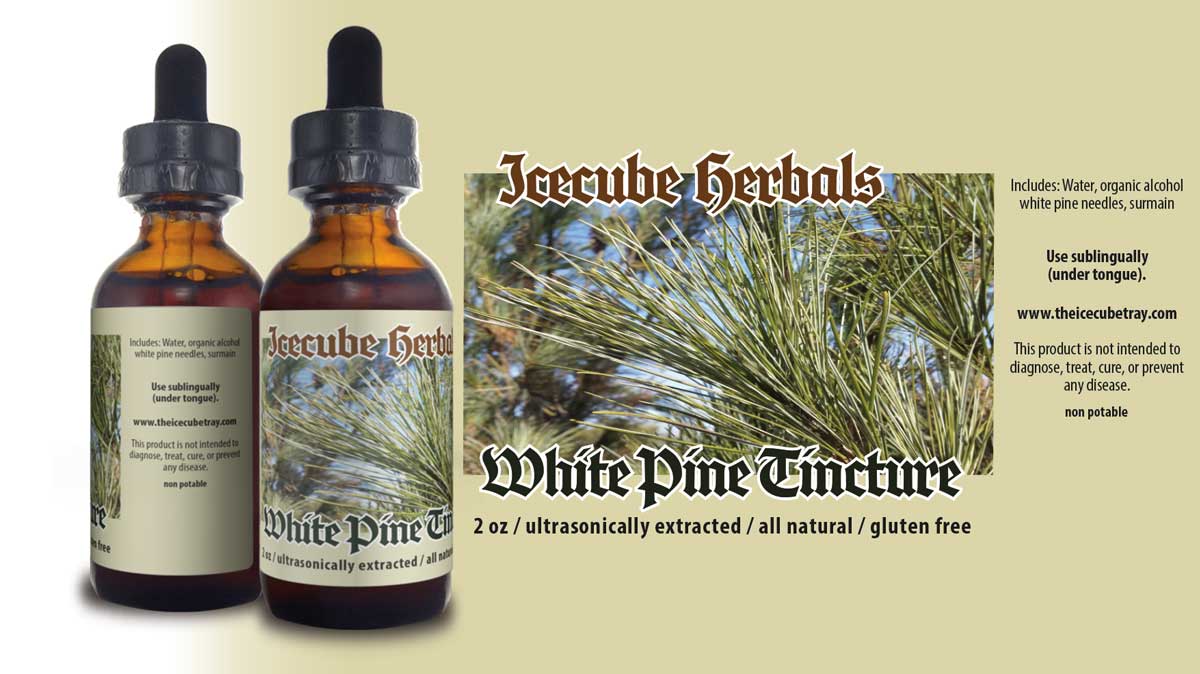 White Pine Tincture The Icecube Tray