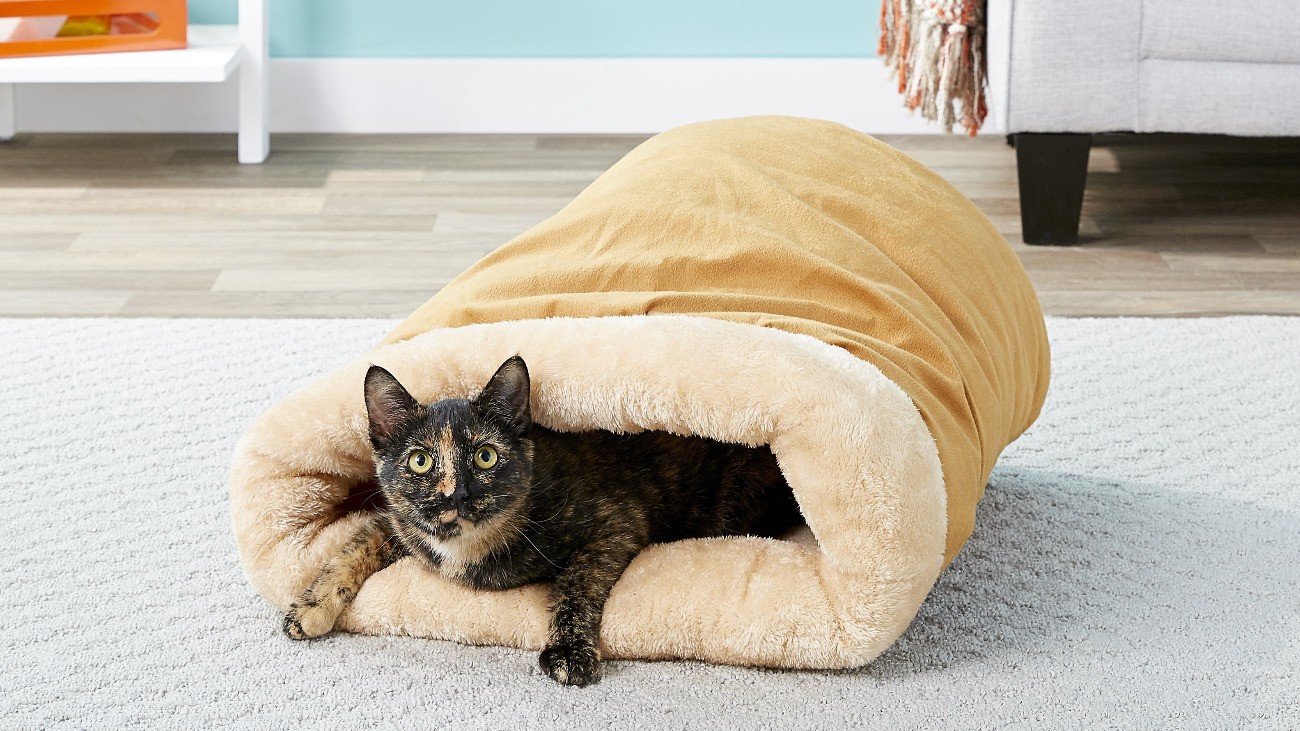 The Best Heated Cat Beds of 2024 Reviews & Guide