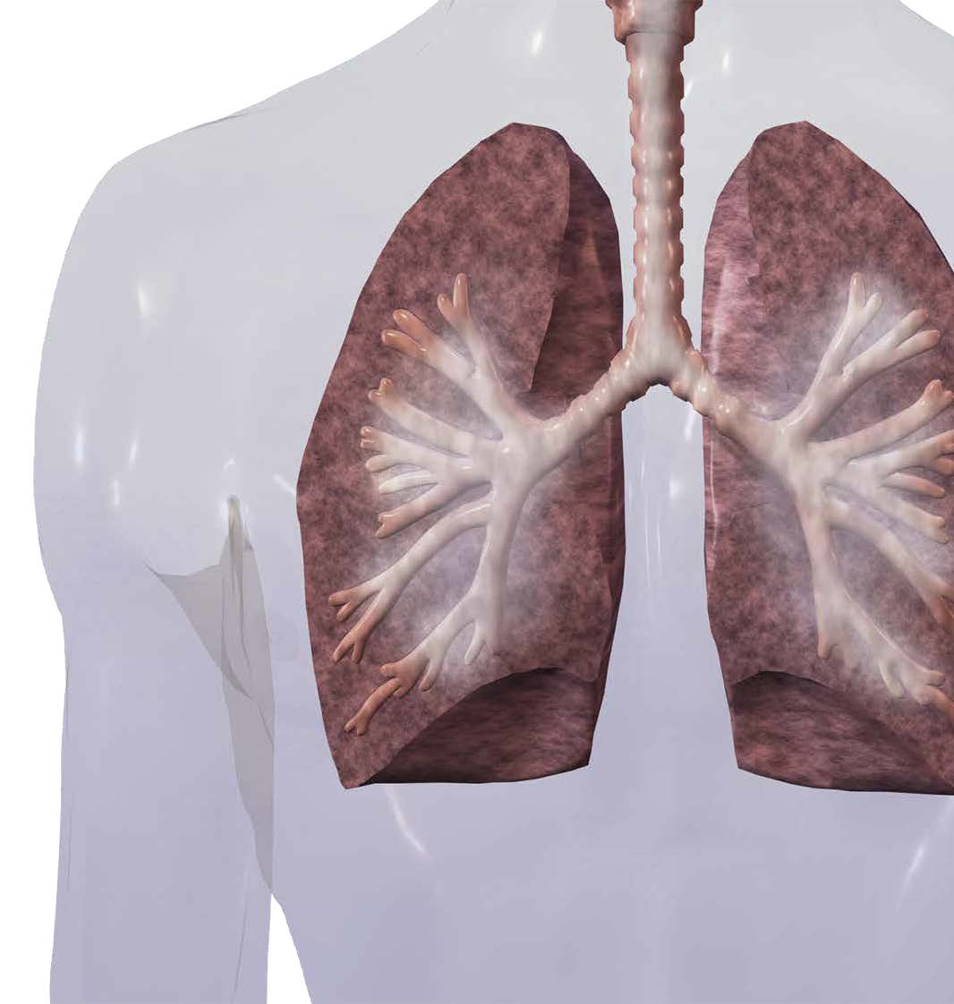 COPD Medications What's Best for You? VOICE