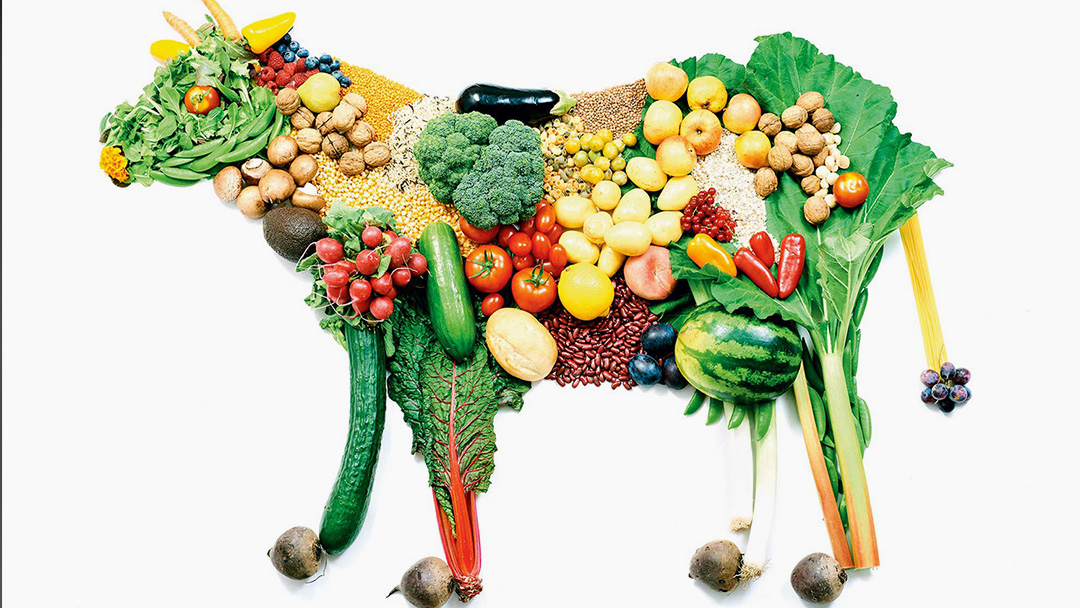 More Blacks Going Vegan VOICE