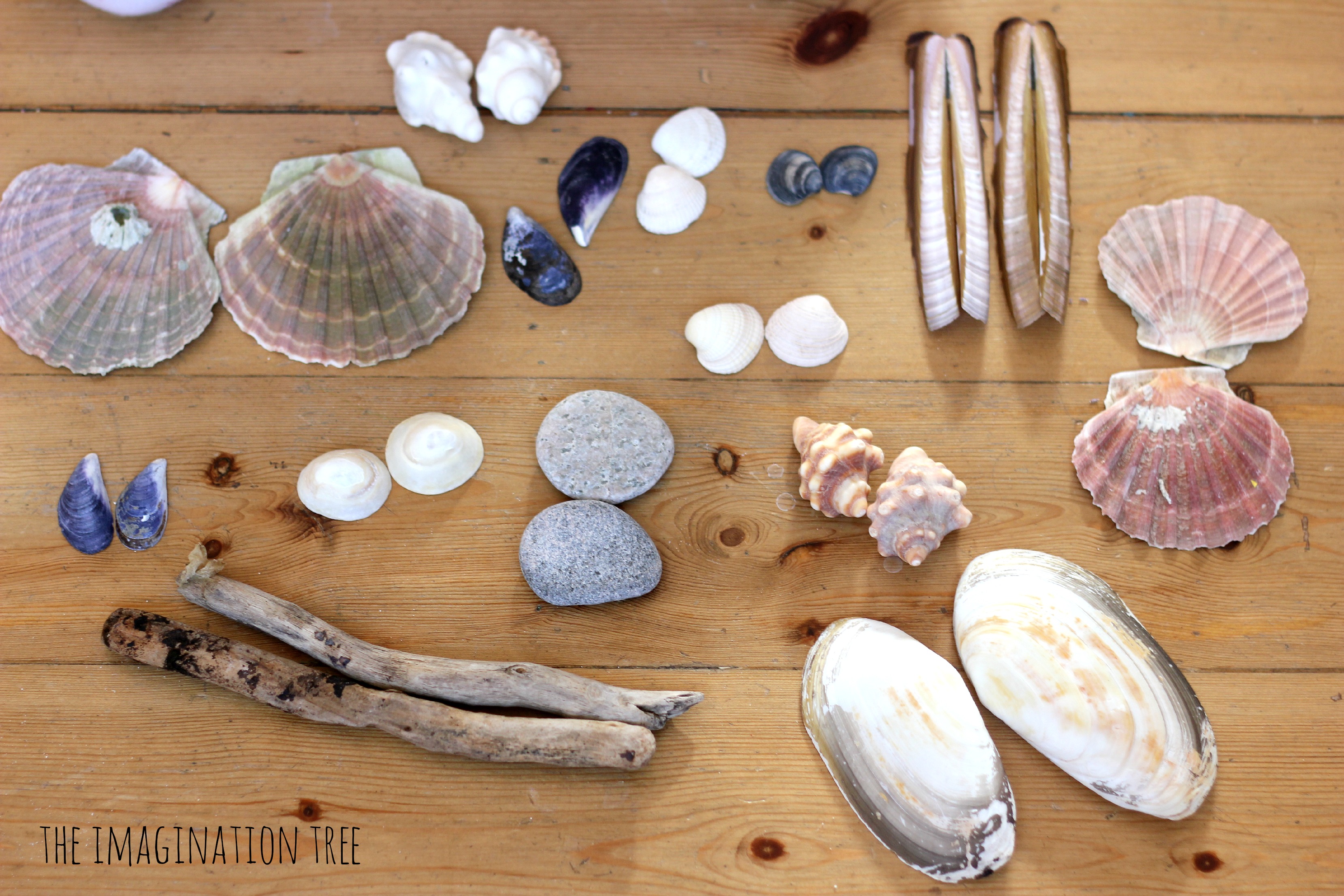 Symmetrical Pattern Making with Natural Materials The Imagination Tree