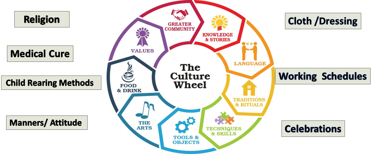 What is Culture? Culture and Social Science theims2020media