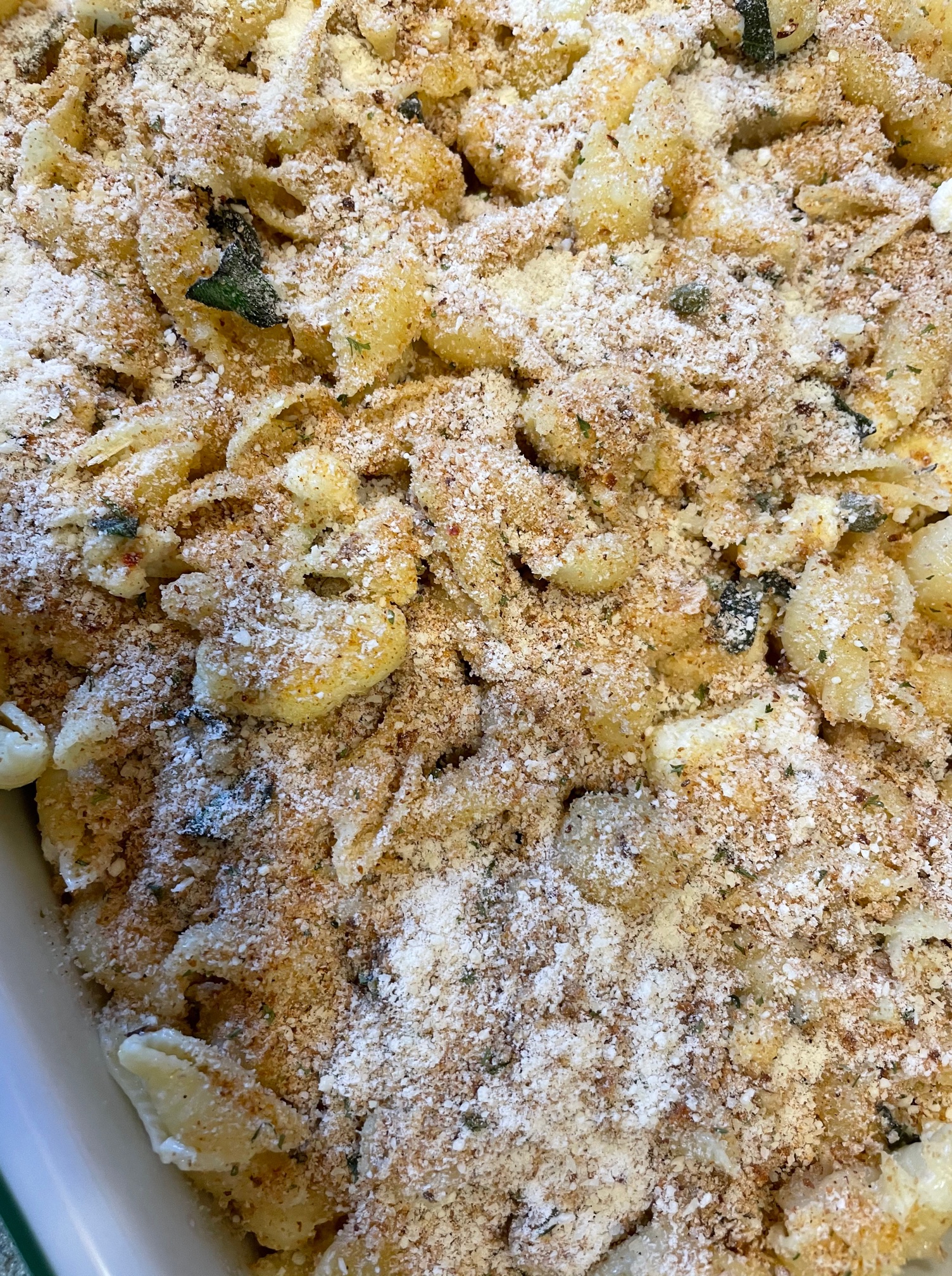 Barefoot Contessa 40 Crusty Baked Shells and Cauliflower Ryan's