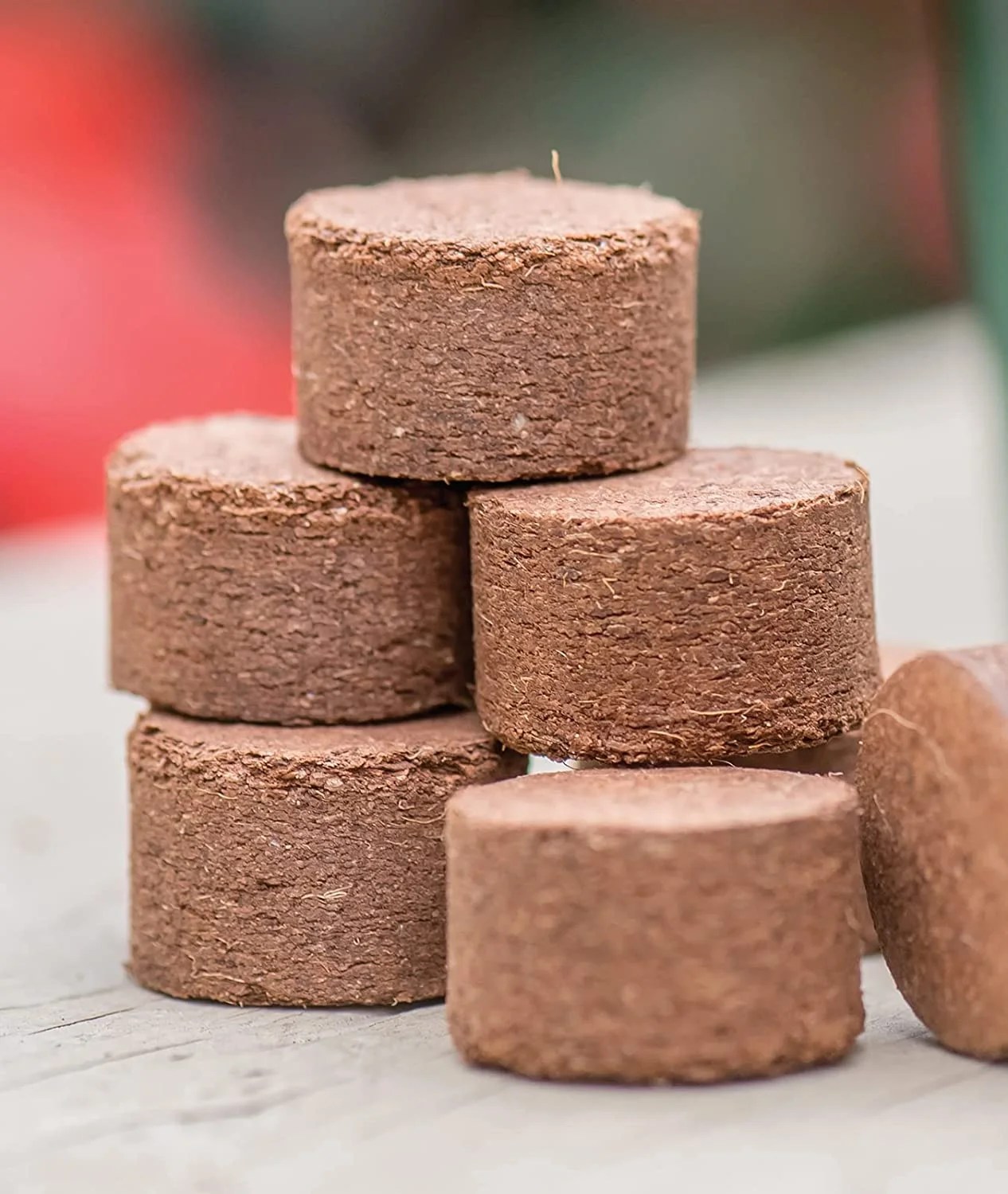 The Best Coco Coir For Your Plant’s Healthiest Root System Ever