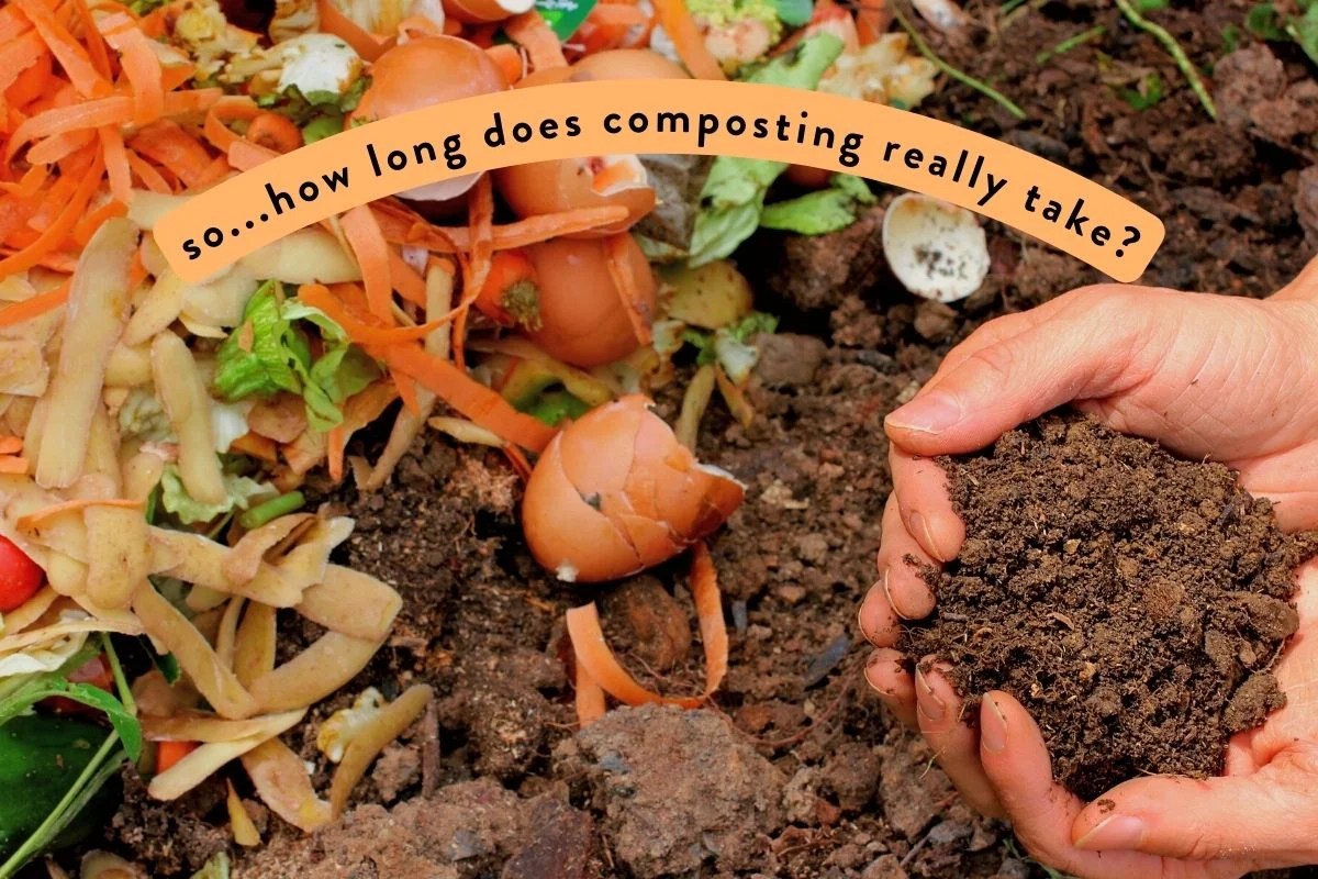 how long does compost take to turn into nutritious soil?