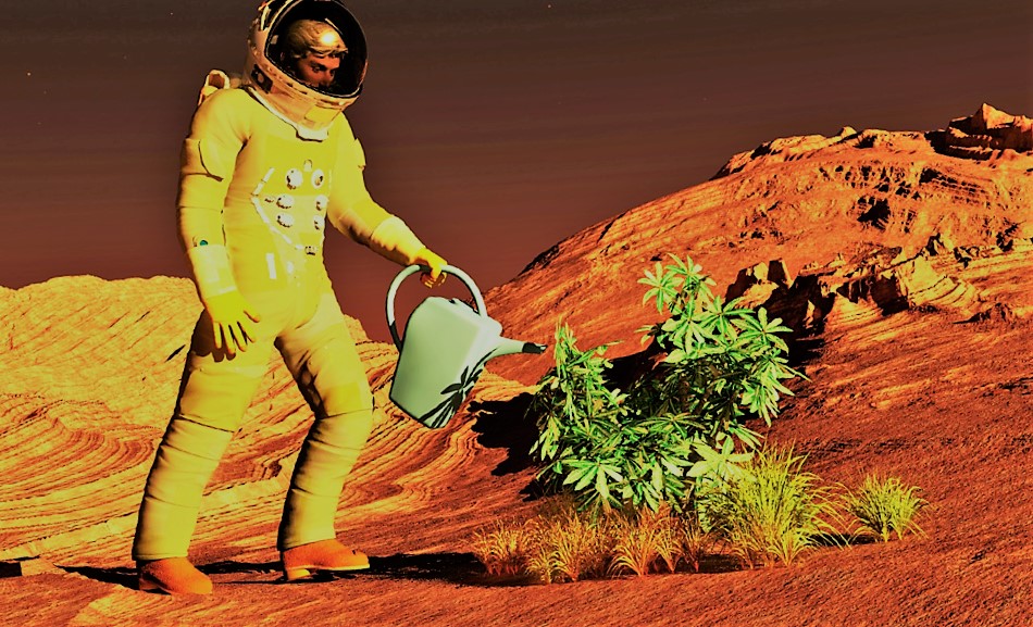 Can Humans Survive on Mars? The Fascinating Challenges of Living on the