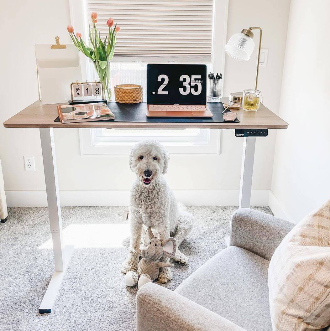 Fully Jarvis vs Flexispot EG1 which one is the best standing desk for