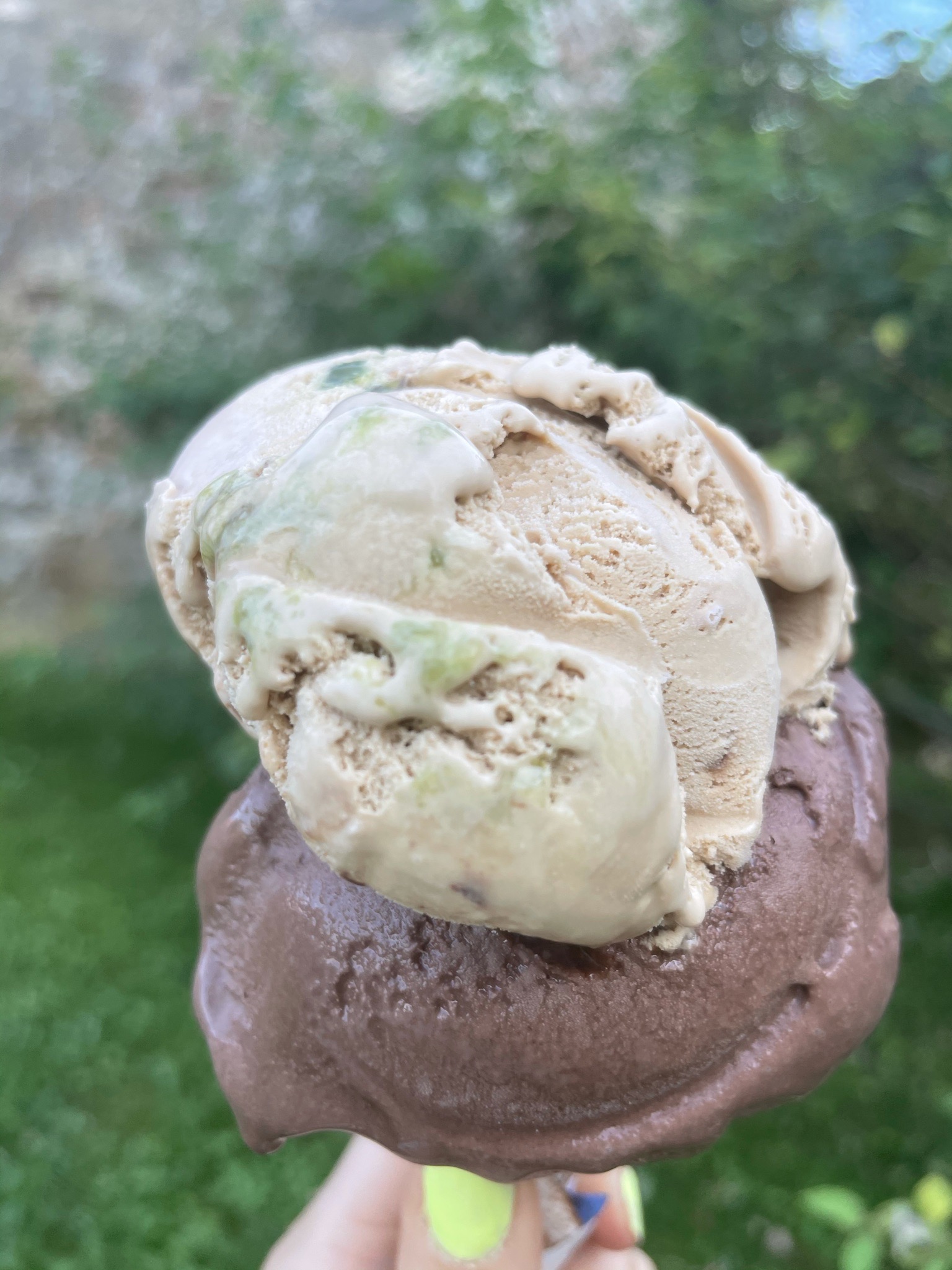 Woodside Farm Creamery Hockessin, DE The Inside Scoops