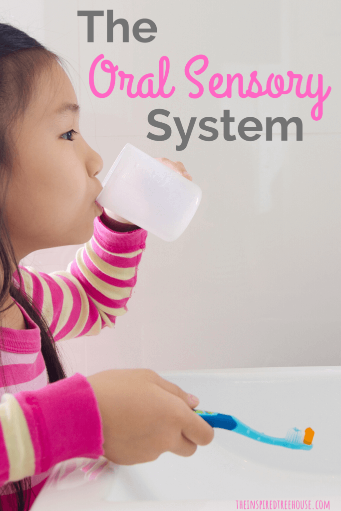 The Oral Sensory System The Inspired Treehouse