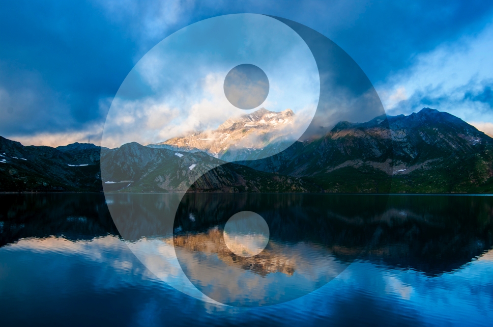 QiGong The Integrated Way