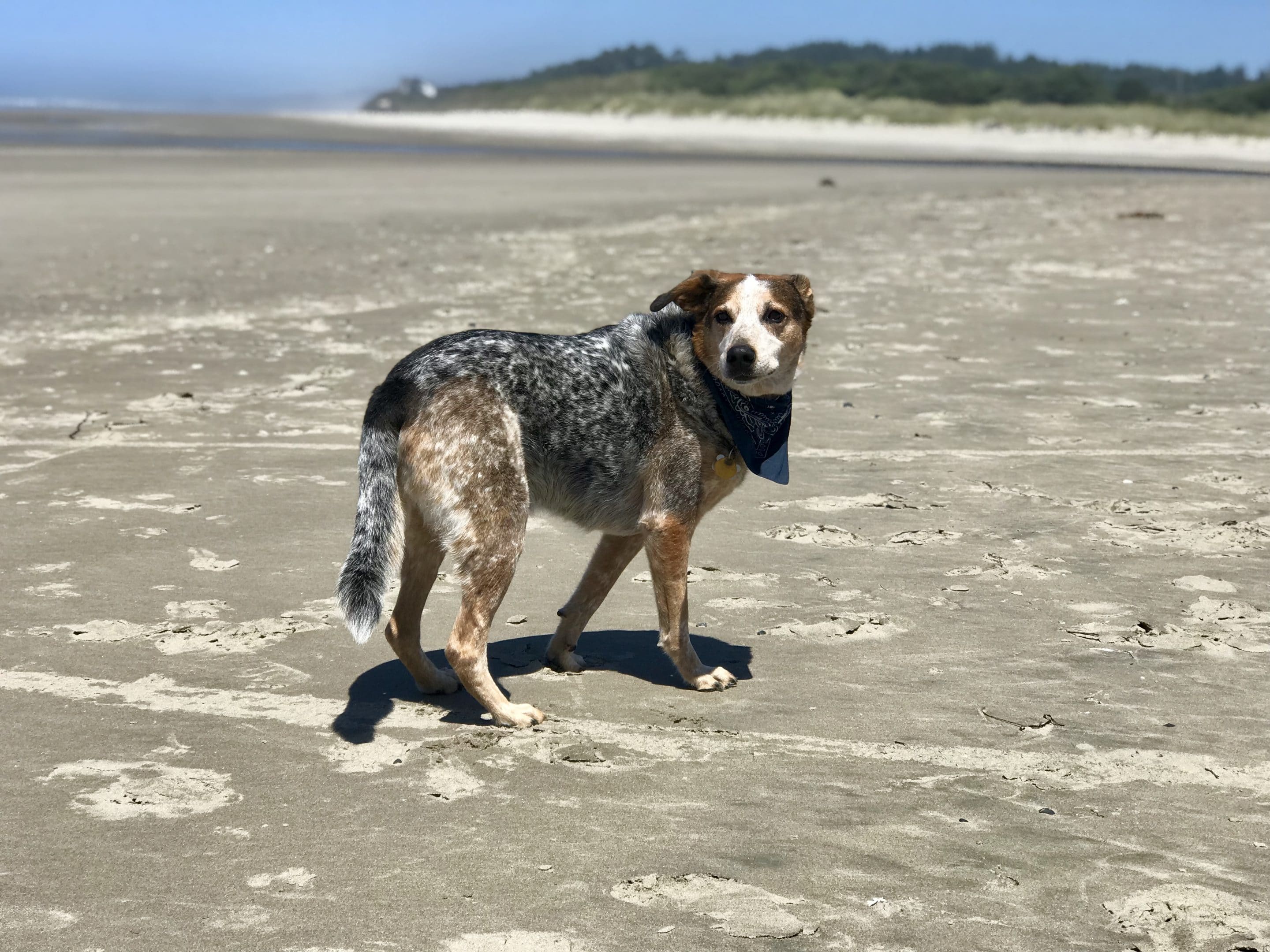 6 Tips and Tools for Finding the Best Hashtags for Your Content