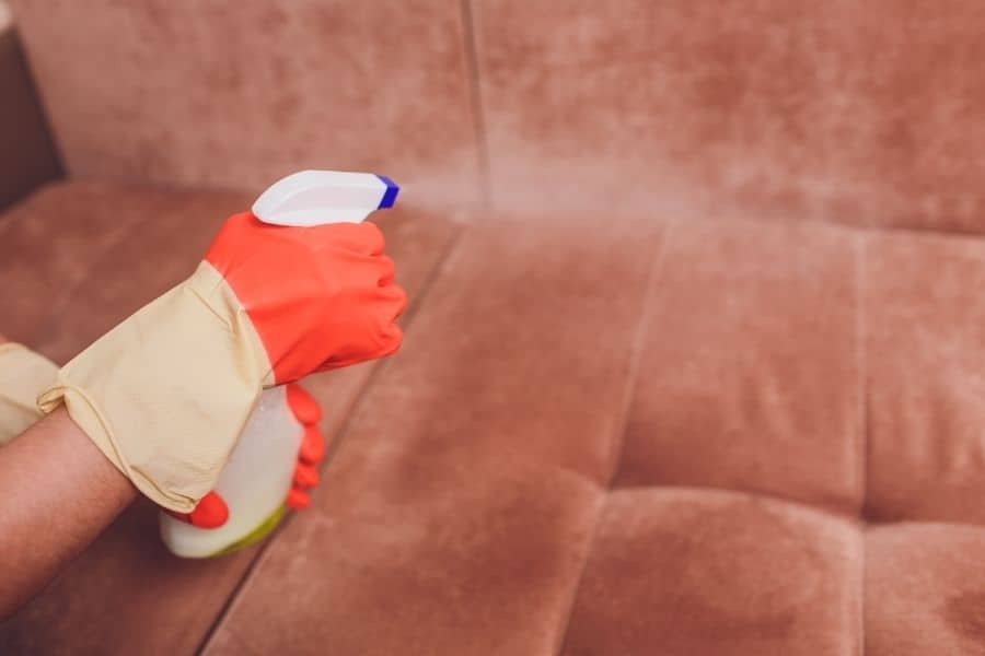 How to Steam Clean Your Couch StepbyStep Guide