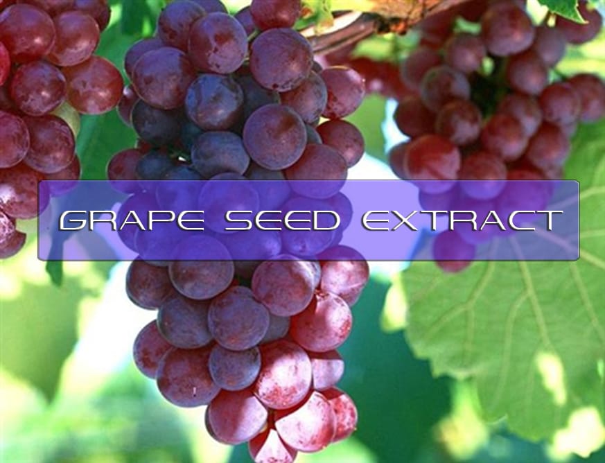 Benefits of Grape Seed Extract Interstellar Blends Activate Your