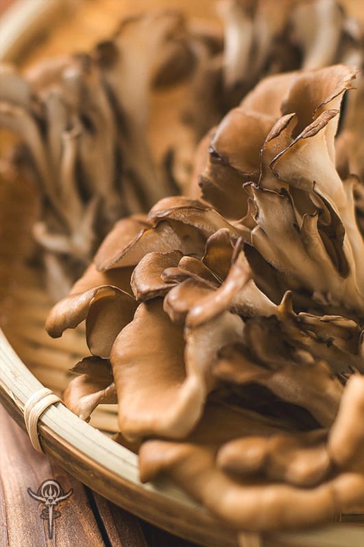 Benefits of Grifola Frondosa Interstellar Blends Activate Your Super Powers!