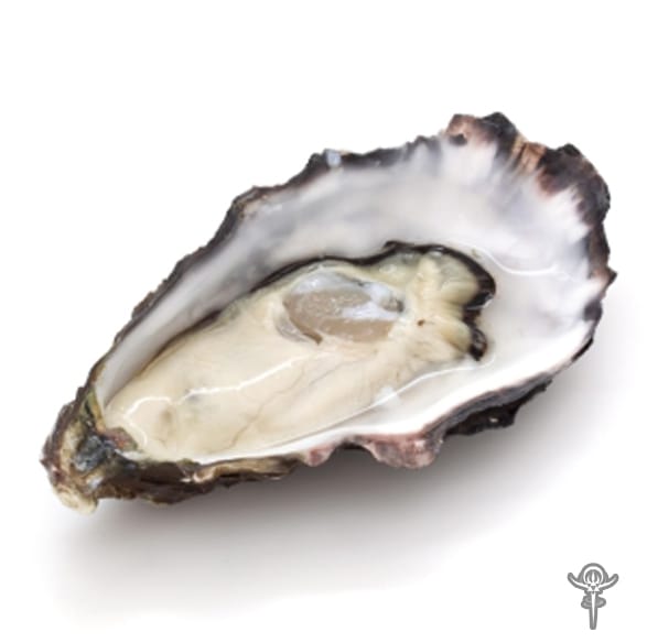 Benefits of Oyster Extract Interstellar Blends Activate Your Super