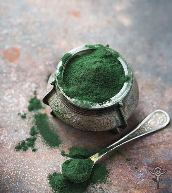 Benefits of Chlorella powder Interstellar Blends Activate Your