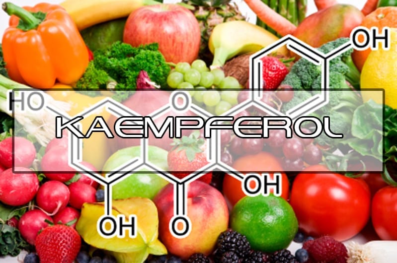 Benefits of Kaempferol Interstellar Blends Activate Your Super Powers!